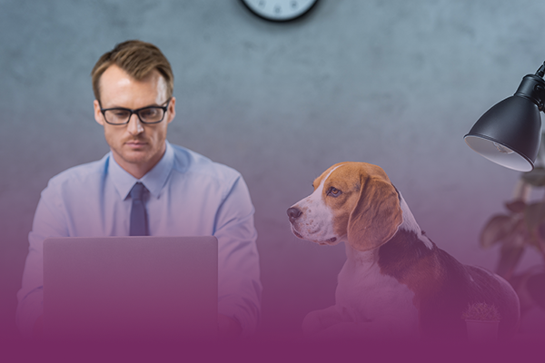 Services CRM Gradient Veterinary Marketing