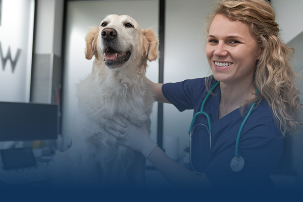 Services Diagnostics Gradient Veterinary Marketing