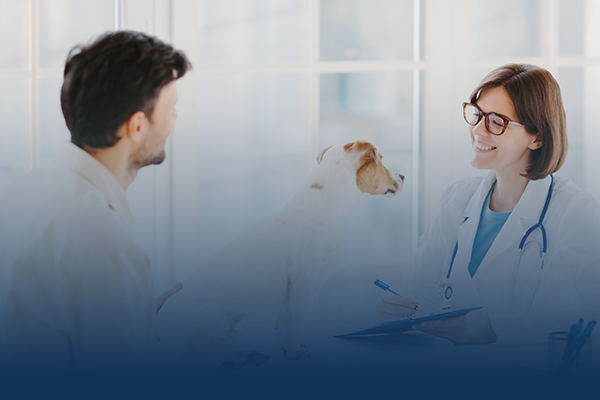 Services Inventory Management Veterinary Marketing