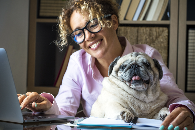 How Personalized Content Boosts Pet Parent Engagement and Clinic Profits