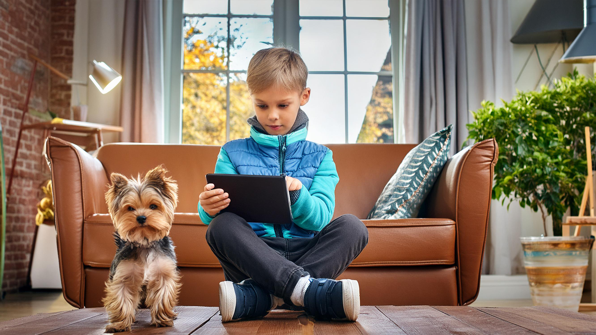 Tablet vs. Puppy: Mental Health Showdown