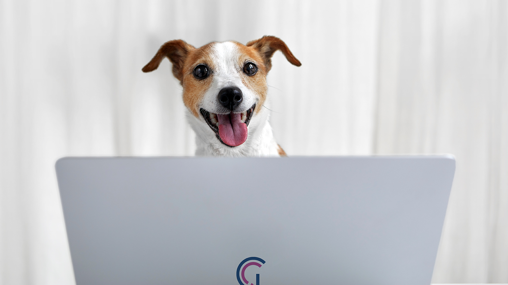 Leveraging AI Tools for Veterinary Email Marketing