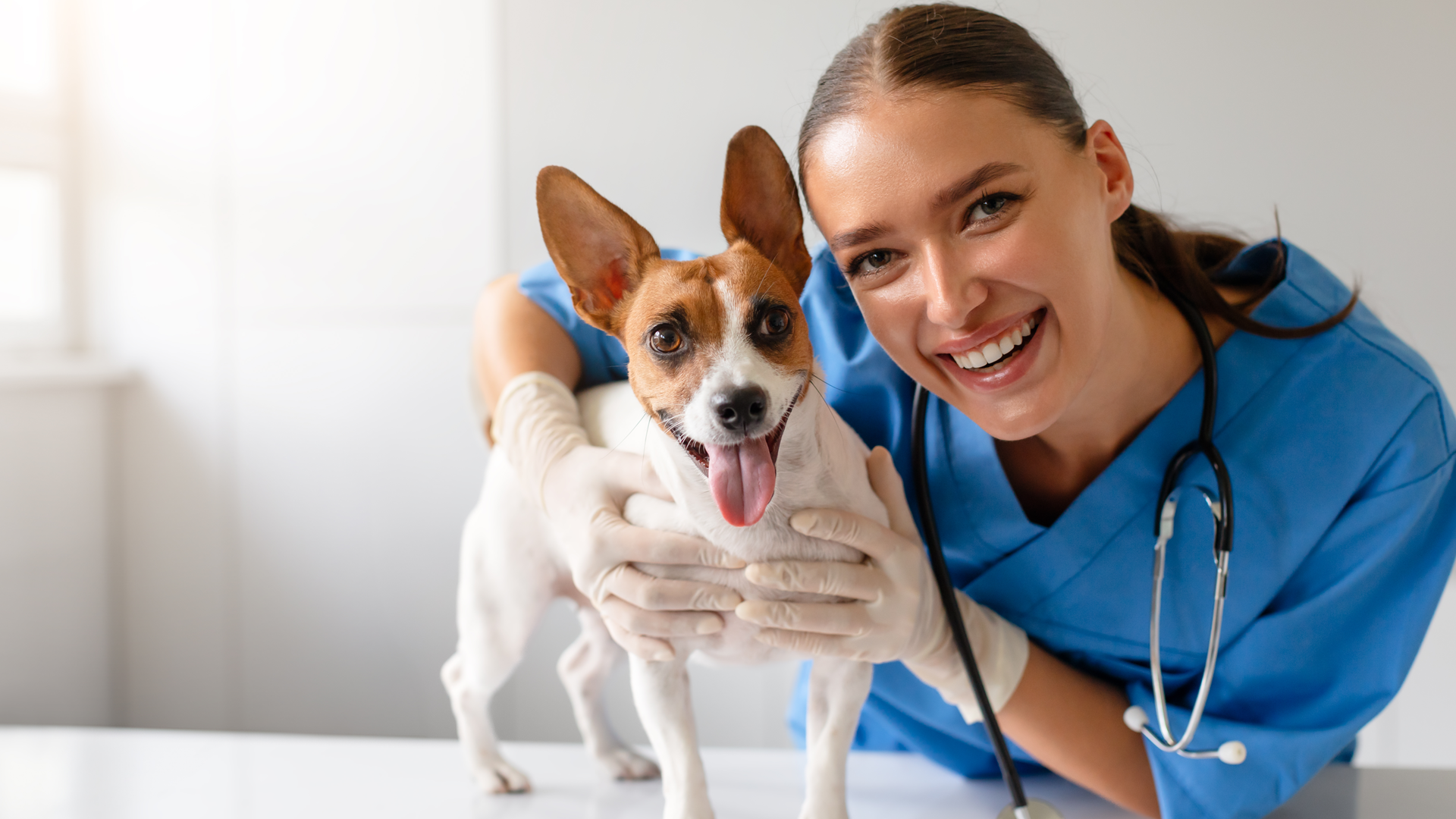 The Power of Personal Branding for Veterinary Practices