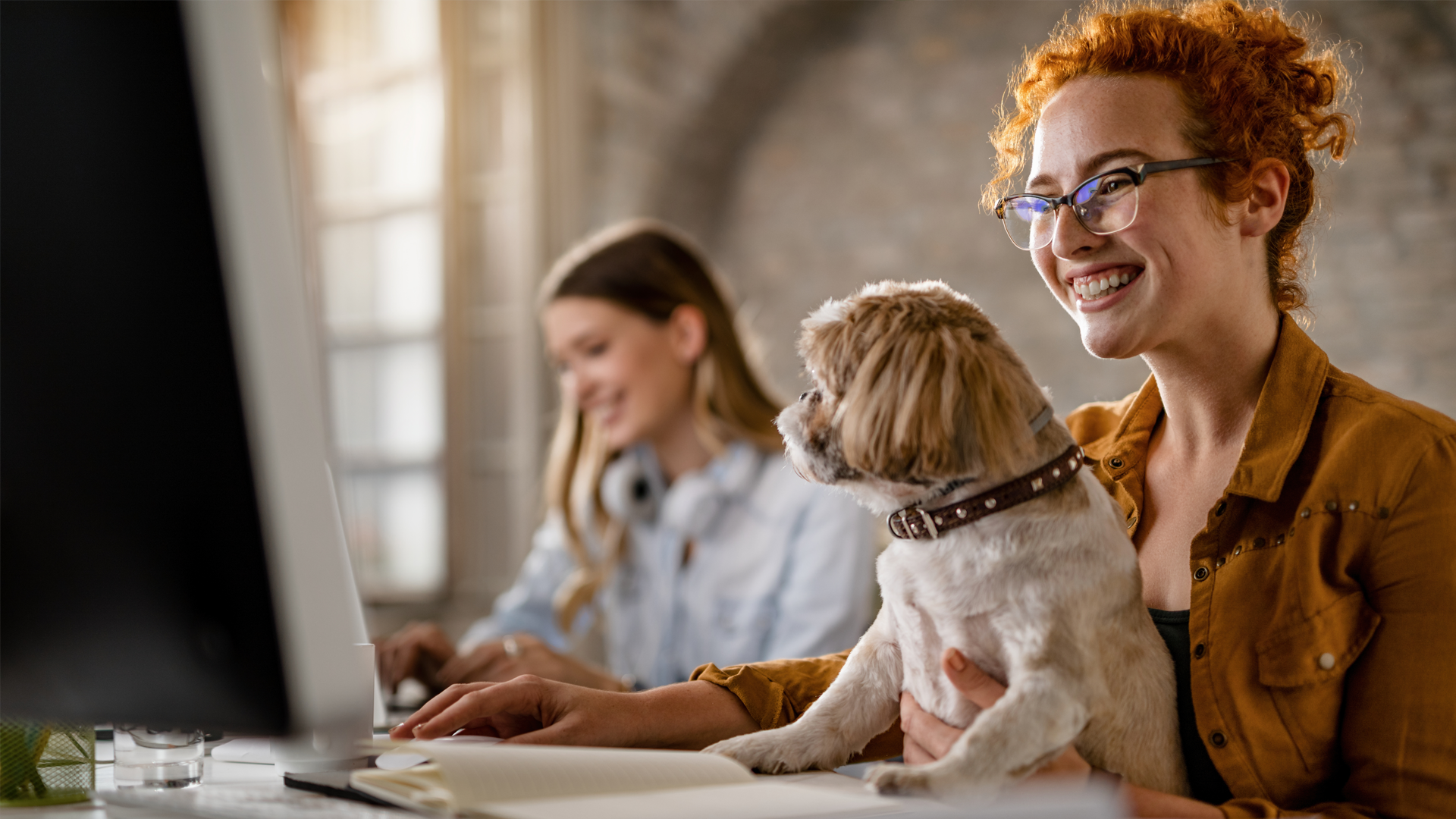 Maximizing Veterinary Practice Success with Marketing Consultants